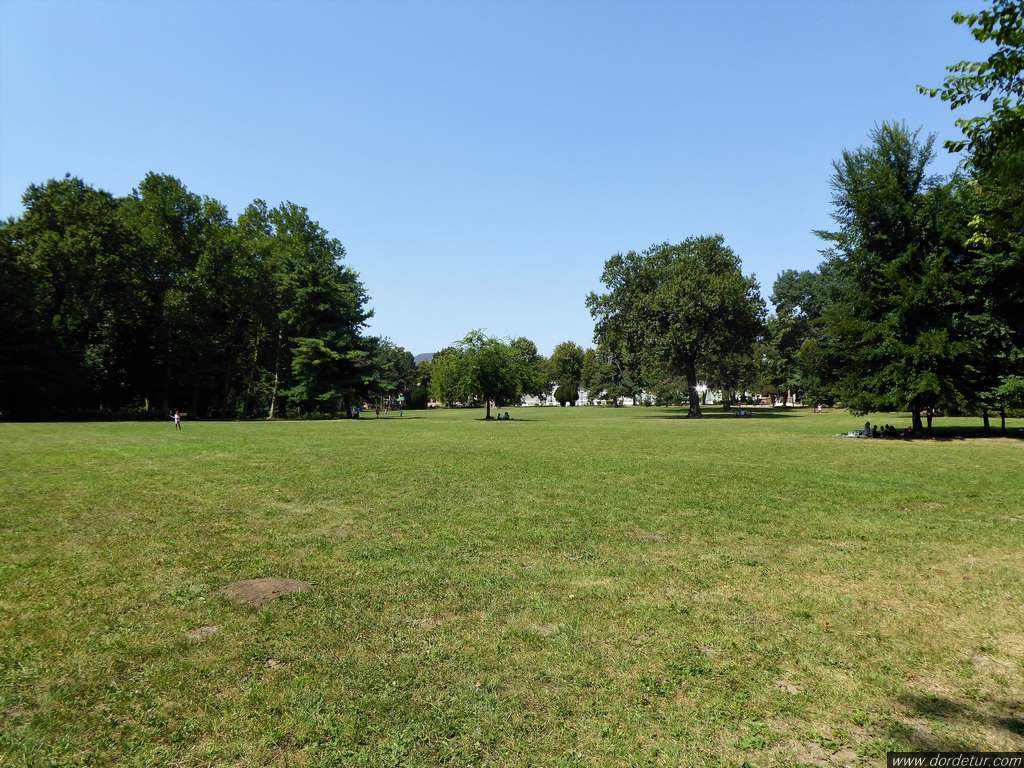 picnic-grass-mogosoaia