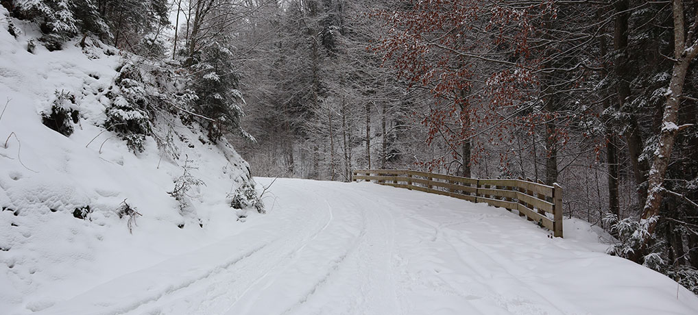 drumul-vechi-brasov-drumetie-iarna