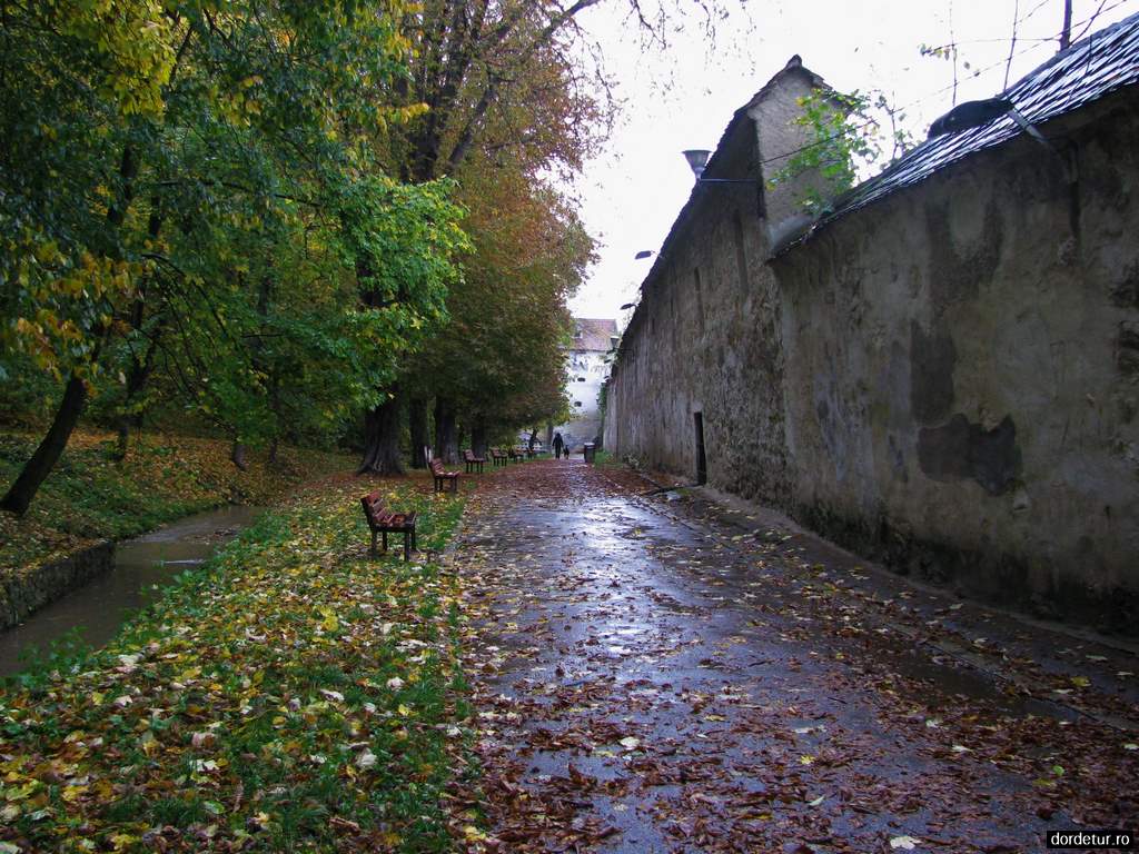 strada-dupa-ziduri-din-brasov