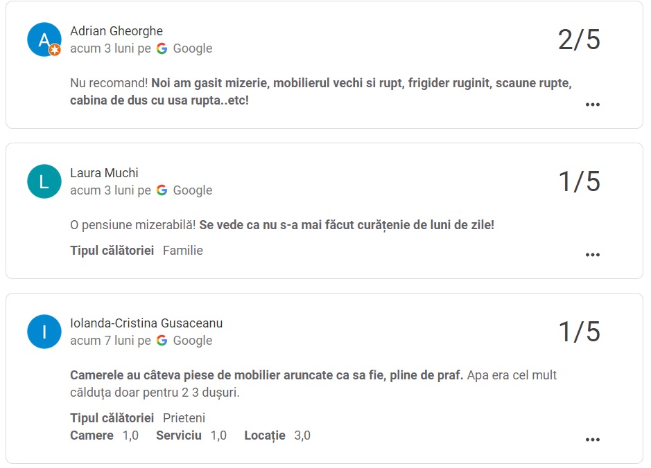 recenzii-google-vila-monica-simon